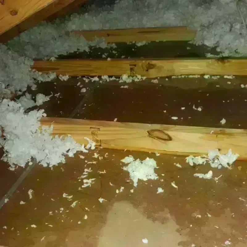 Attic Water Damage in Pixley, CA