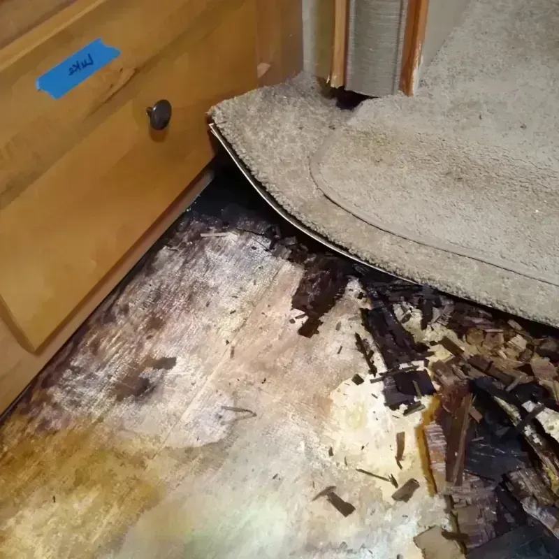 Wood Floor Water Damage in Pixley, CA